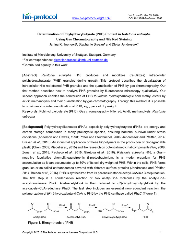 Measure PHB in Ralstonia eutropha | PDF