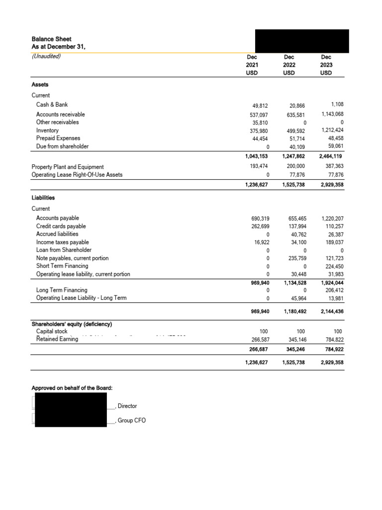 Review Engagement Financial Reporting 12312023 Redacted | PDF | Expense ...