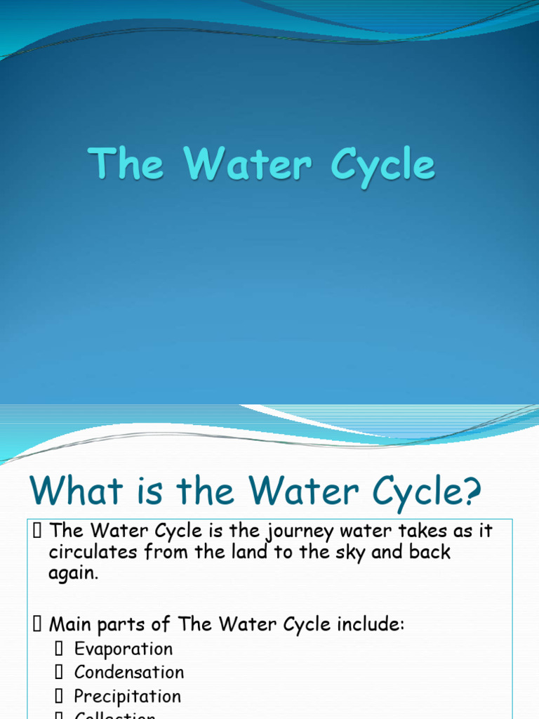 Understanding the Water Cycle | PDF