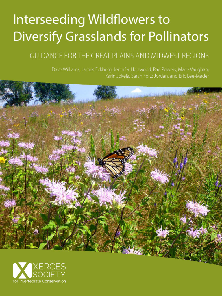 Interseeding Wildflowers for Pollinators | PDF | Grassland | Soil