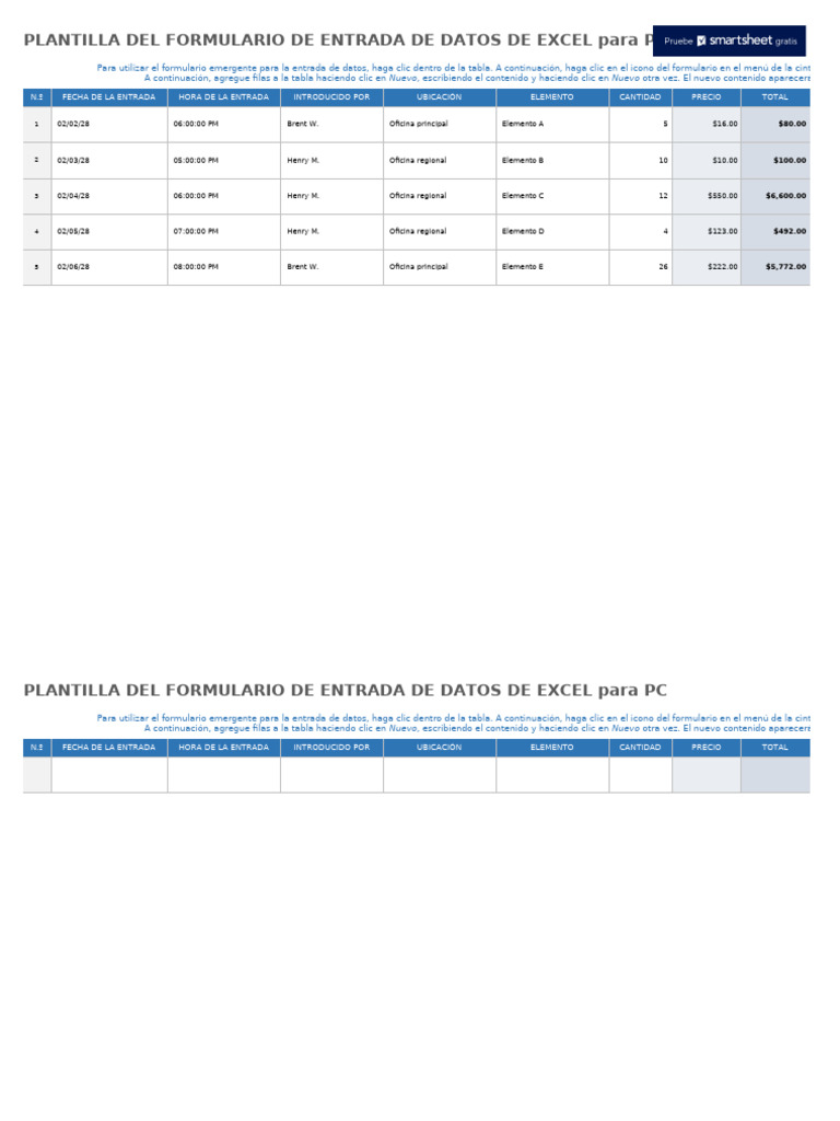 IC Excel Data Entry Form 28188 Example ES | PDF | Informática | Software