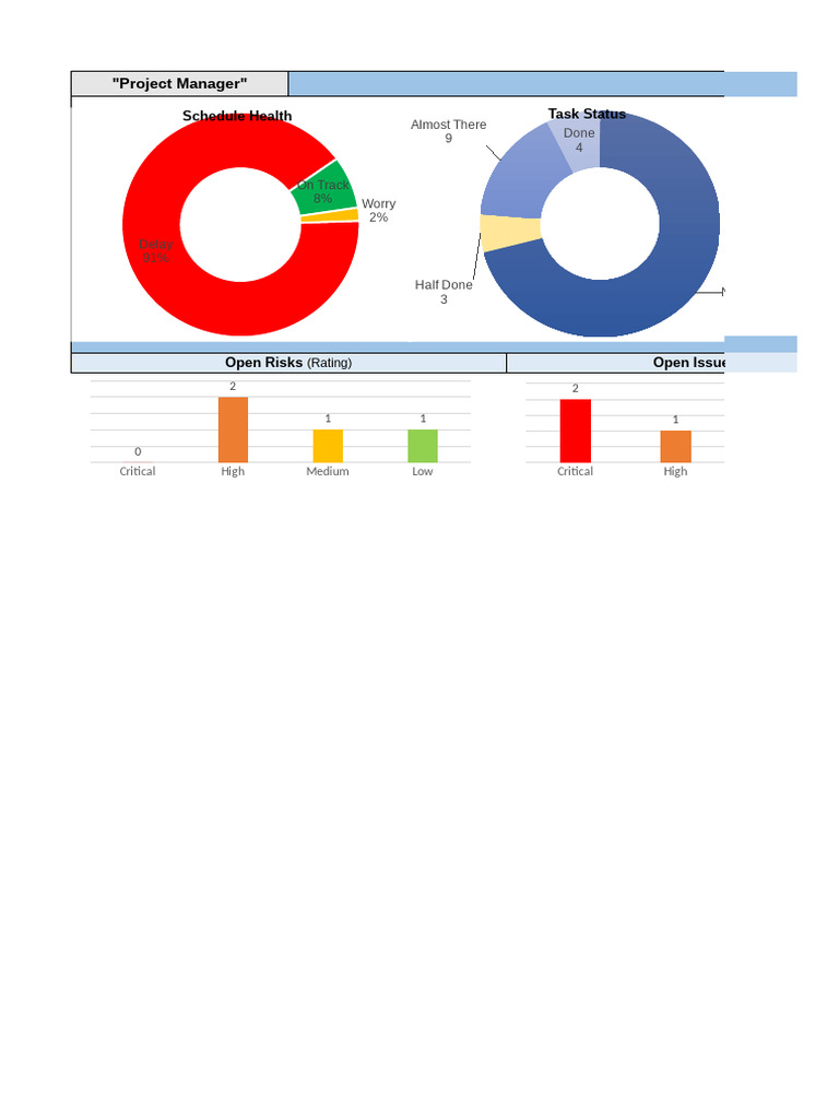 Project Manager Excel | PDF