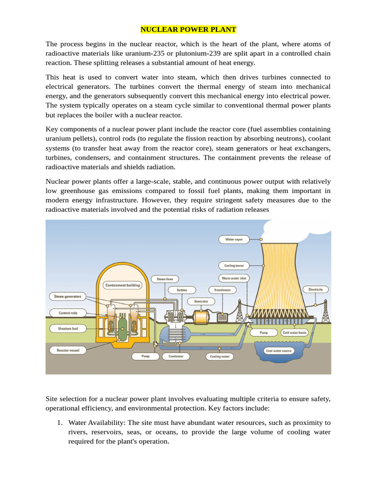NUCLEAR POWER PLANT | PDF | Nuclear Reactor | Pressurized Water Reactor