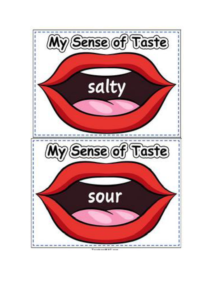 Sense of Taste 2 Grade WK | PDF