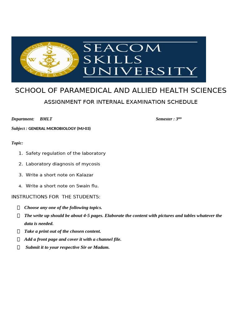 Assignment For Internal | PDF