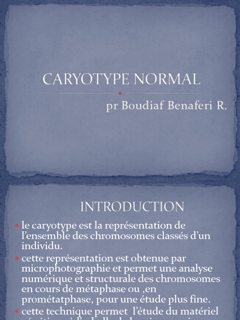 Analyse et Techniques du Caryotype | PDF | Chromosome | Cytogénétique