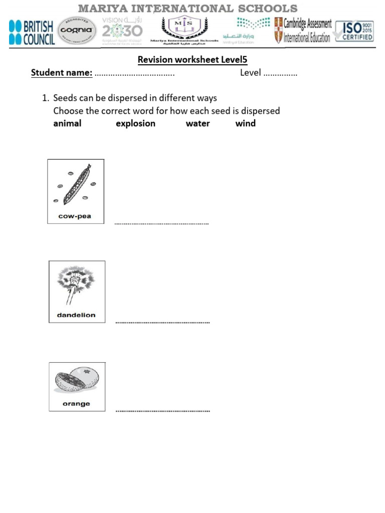 MidTerm Revision Worksheet L5 (1) | PDF