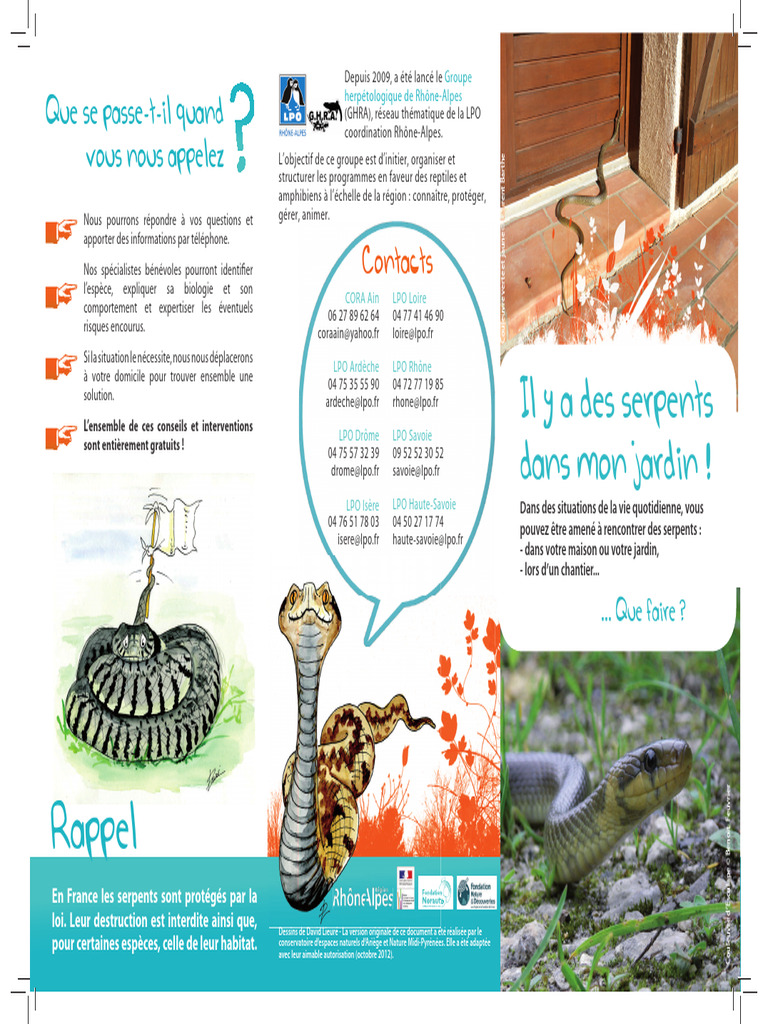 Protection des serpents en Rhône-Alpes | PDF | Serpent