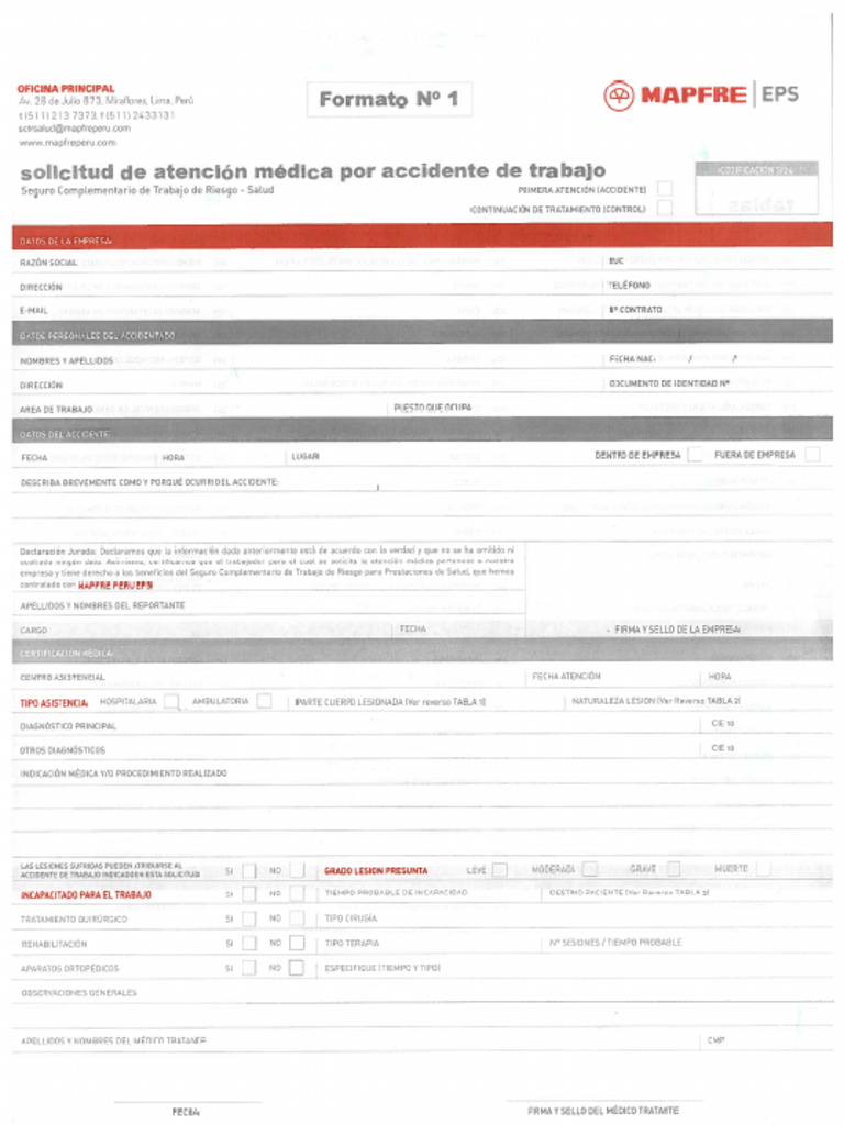 Formato 1 | PDF