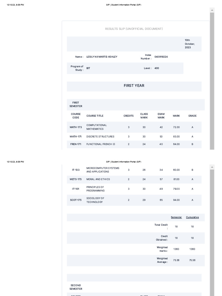Student Results Slip for BIT Program | PDF | Computer Programming ...