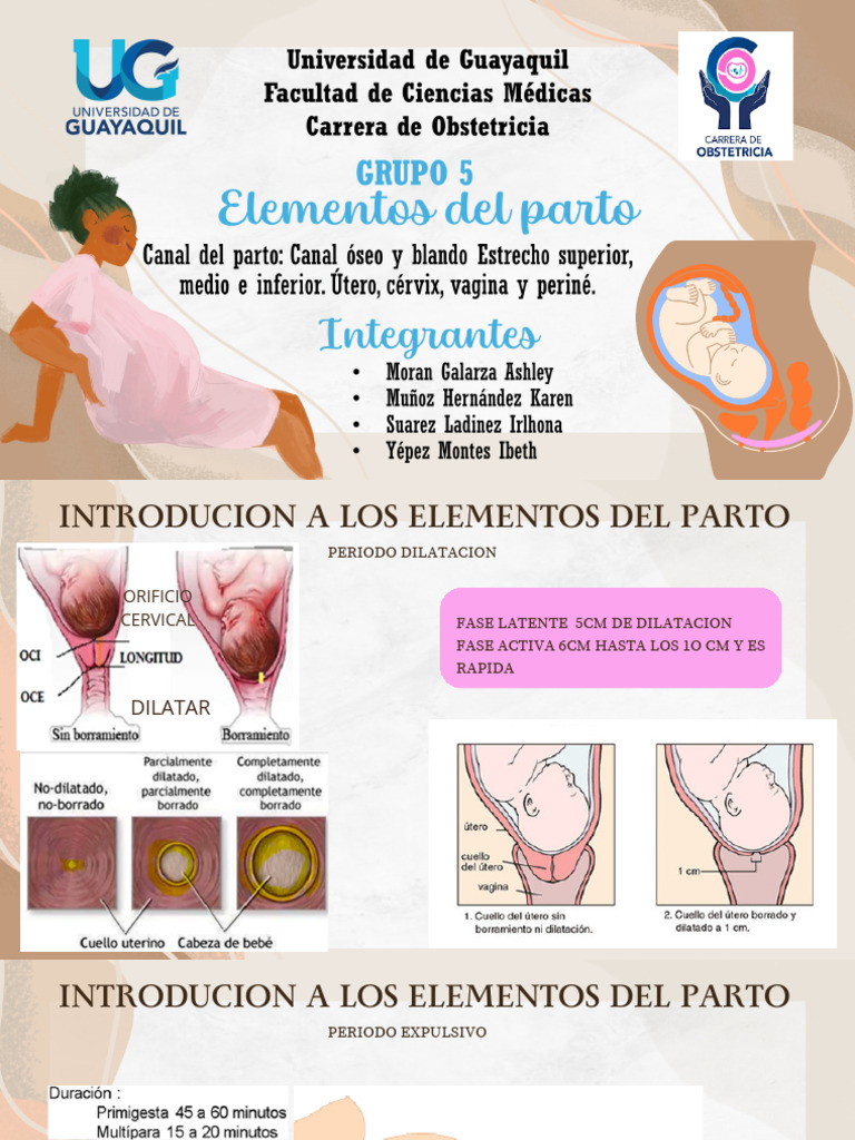 Elementos Del Parto, Canal de Parto e Índice de BISHOP | PDF | Parto ...