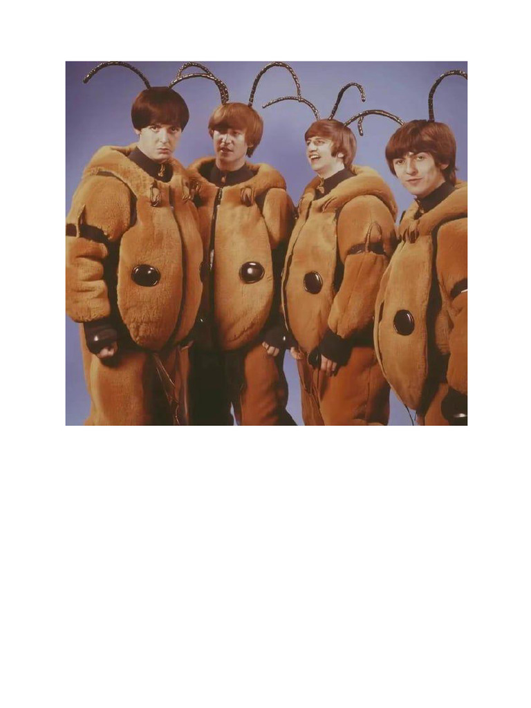 The Beetles | PDF