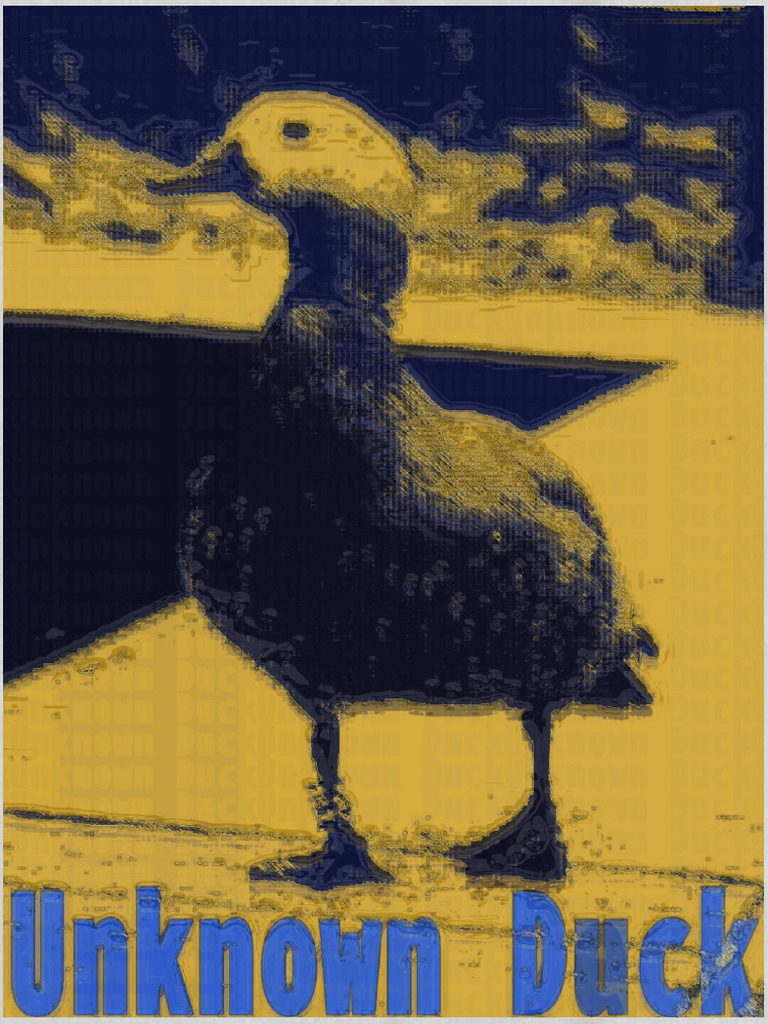 Duck | PDF