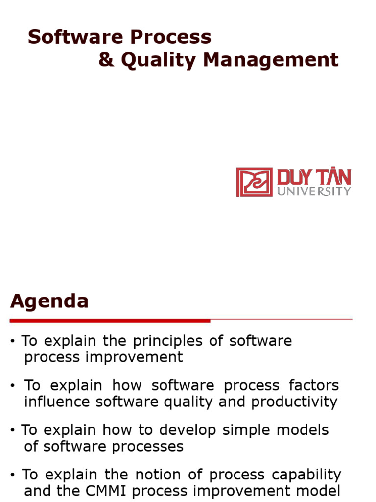 Software Process Improvement & CMMI Guide | PDF | Business