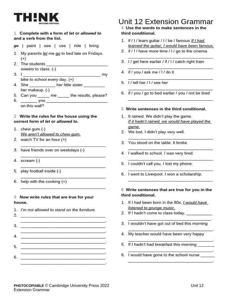 Unit 12 Grammar Exercises: Let & Conditional | PDF