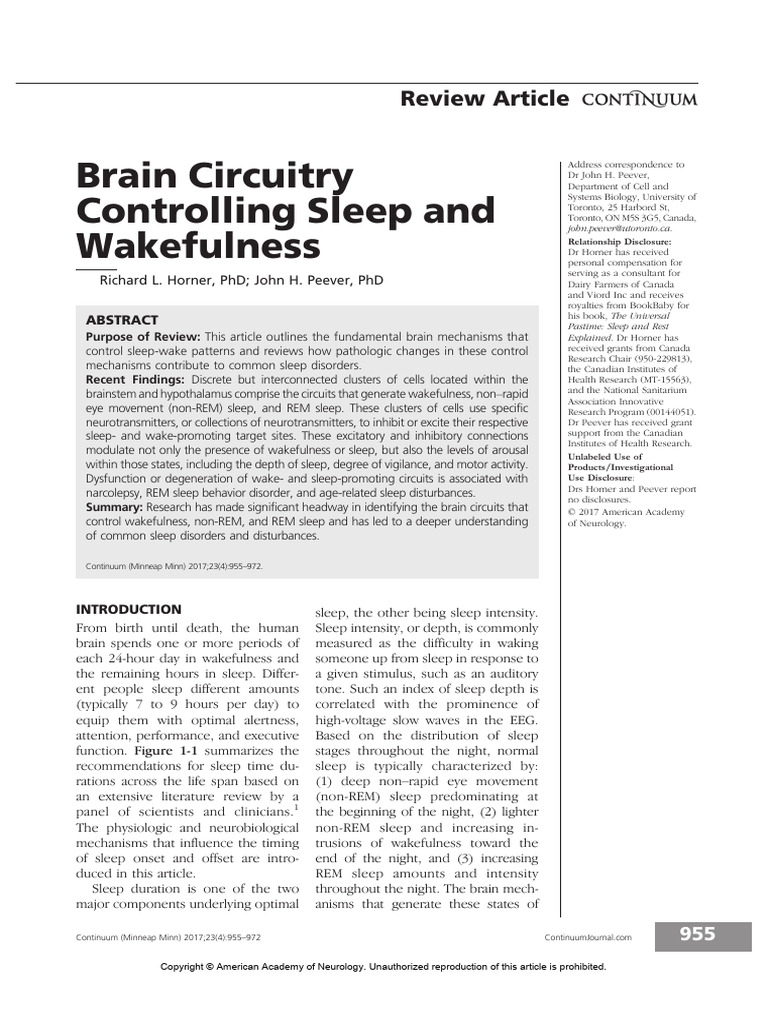 Brain Circuitry Controlling Sleep and Wakefulness | PDF | Sleep | Rapid ...