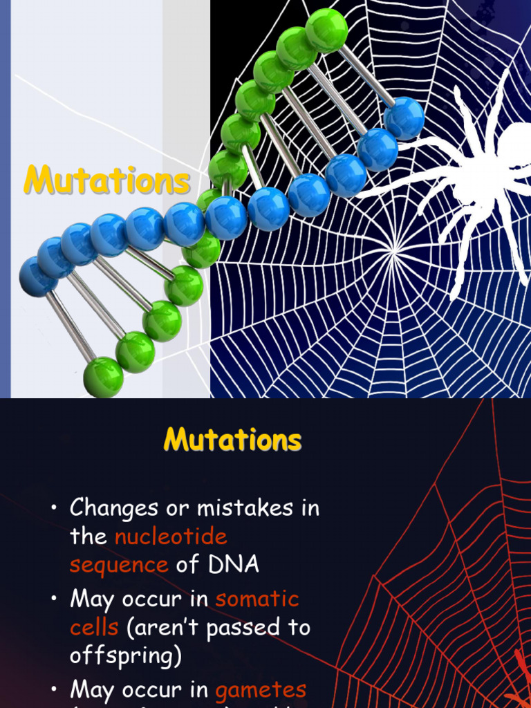Understanding DNA Mutations and Types | PDF | Point Mutation | Mutation