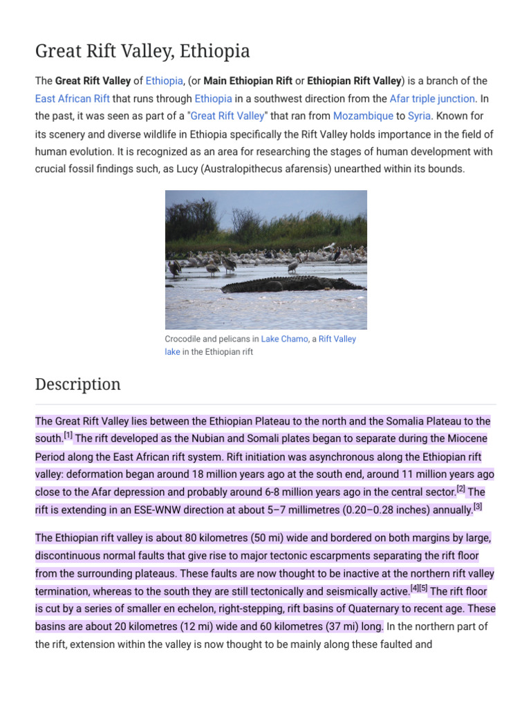 Ethiopian Great Rift Valley Overview | PDF | Geology | Earth Sciences