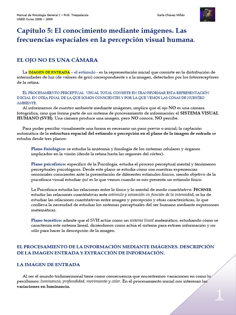 Procesamiento Visual y Percepción Humana | PDF | Percepción | Frecuencia