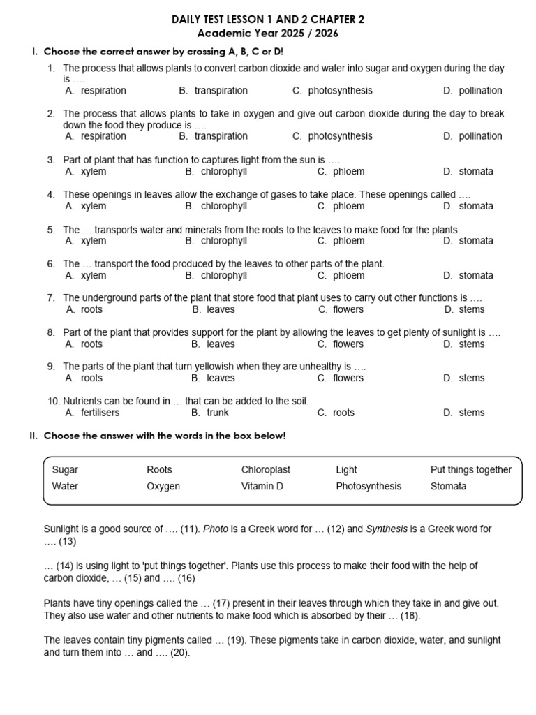 Daily Test on Plant Processes and Functions | PDF | Leaf | Plants