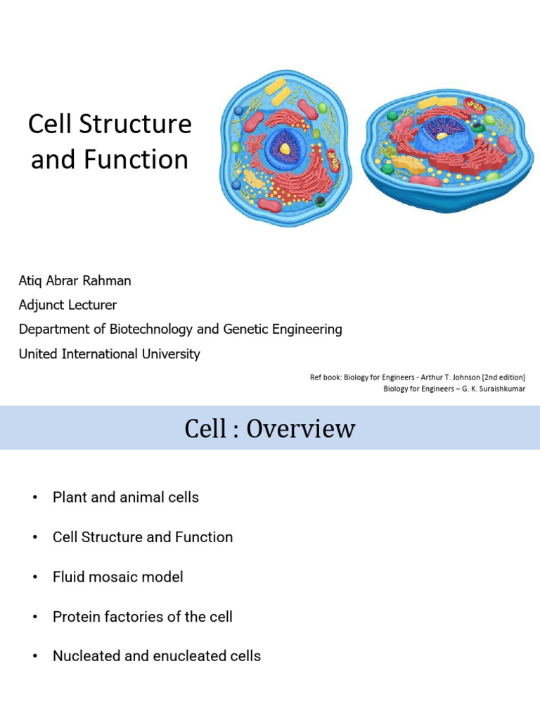 Cell Structure and Function Overview | PDF | Cell Membrane | Cell (Biology)