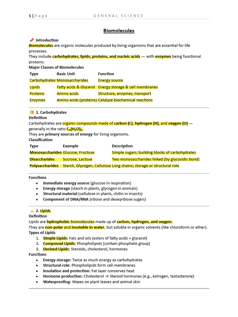 Overview of Biomolecules and Their Functions | PDF | Carbohydrates ...