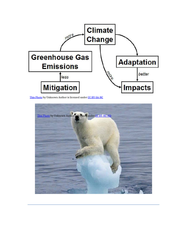 Individual Responsibility in Climate Change | PDF | Carbon Footprint ...
