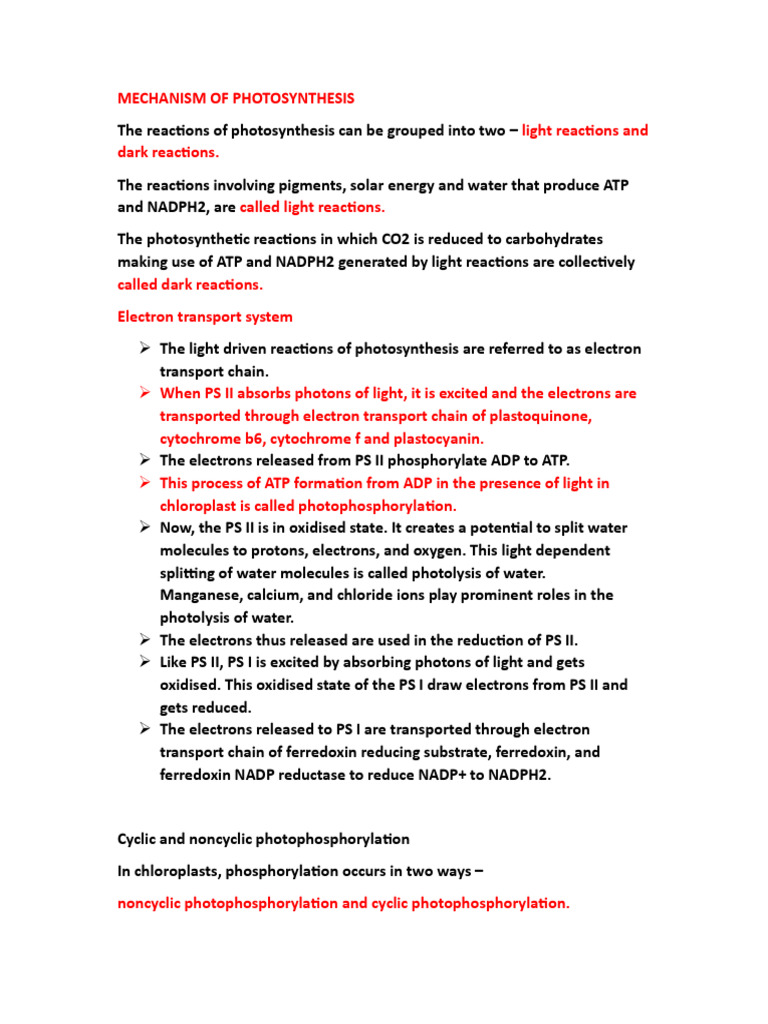 Class Xi Photosynthesis Notes | PDF | Photosynthesis | Electron ...