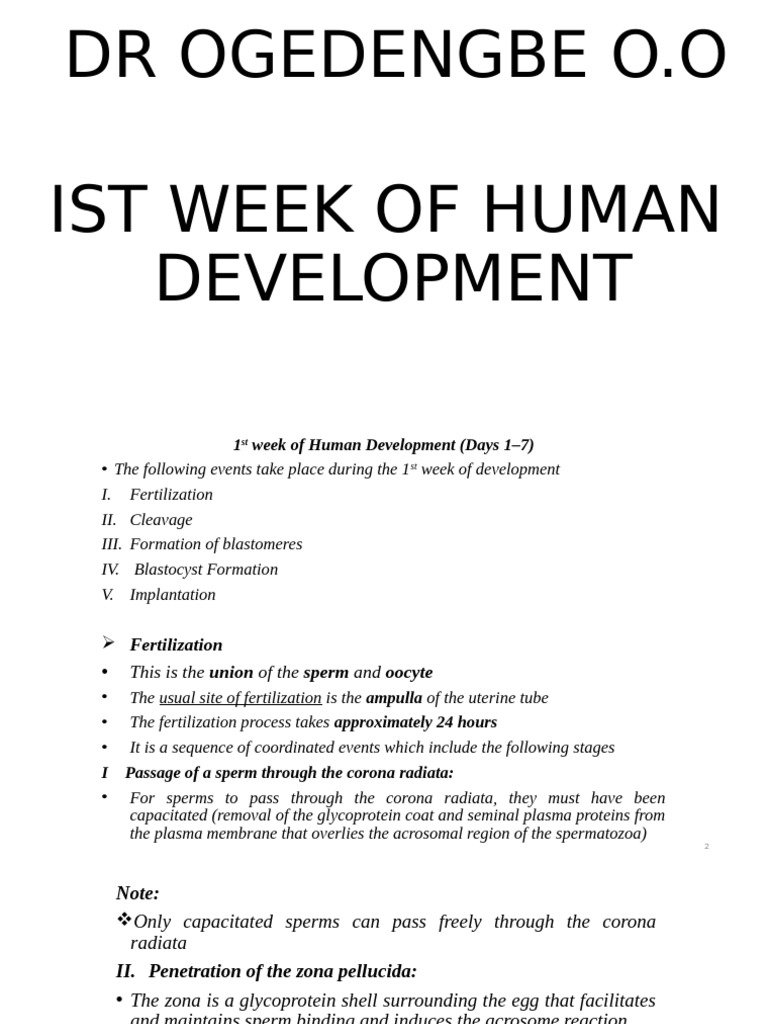 FIRST Week of Human Development | PDF | In Vitro Fertilisation ...