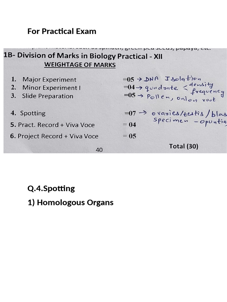 For Practical Exam Class 12 | PDF