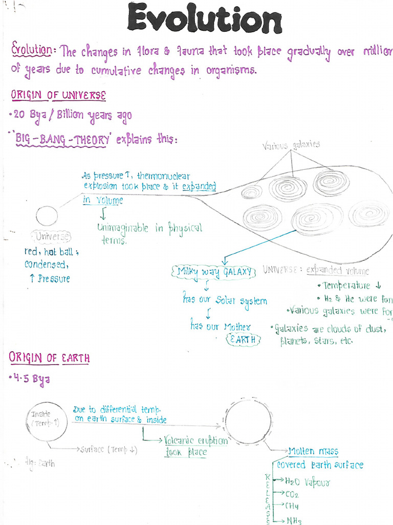 Evolution Notes by Samapti Mam | PDF
