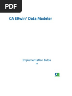 ERwin Manual