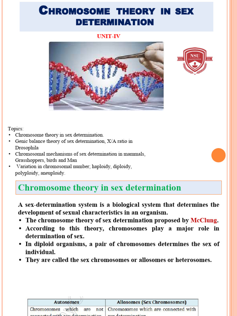 Chromosome Theory of Sex Determination | PDF | Ploidy | Sex