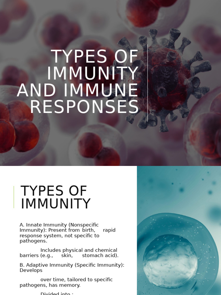 Types of Immunity and Immune Responses | PDF | Immune System | Antibody