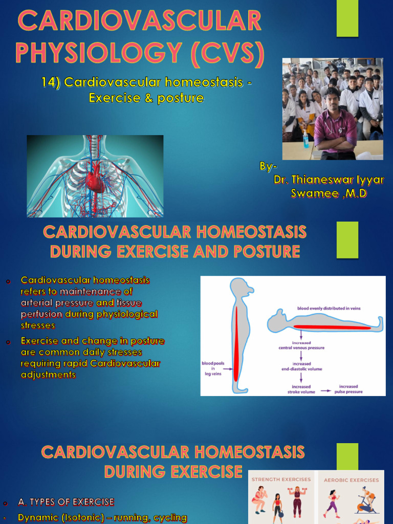 Cardiovascular Homeostasis in Exercise | PDF | Blood Pressure ...