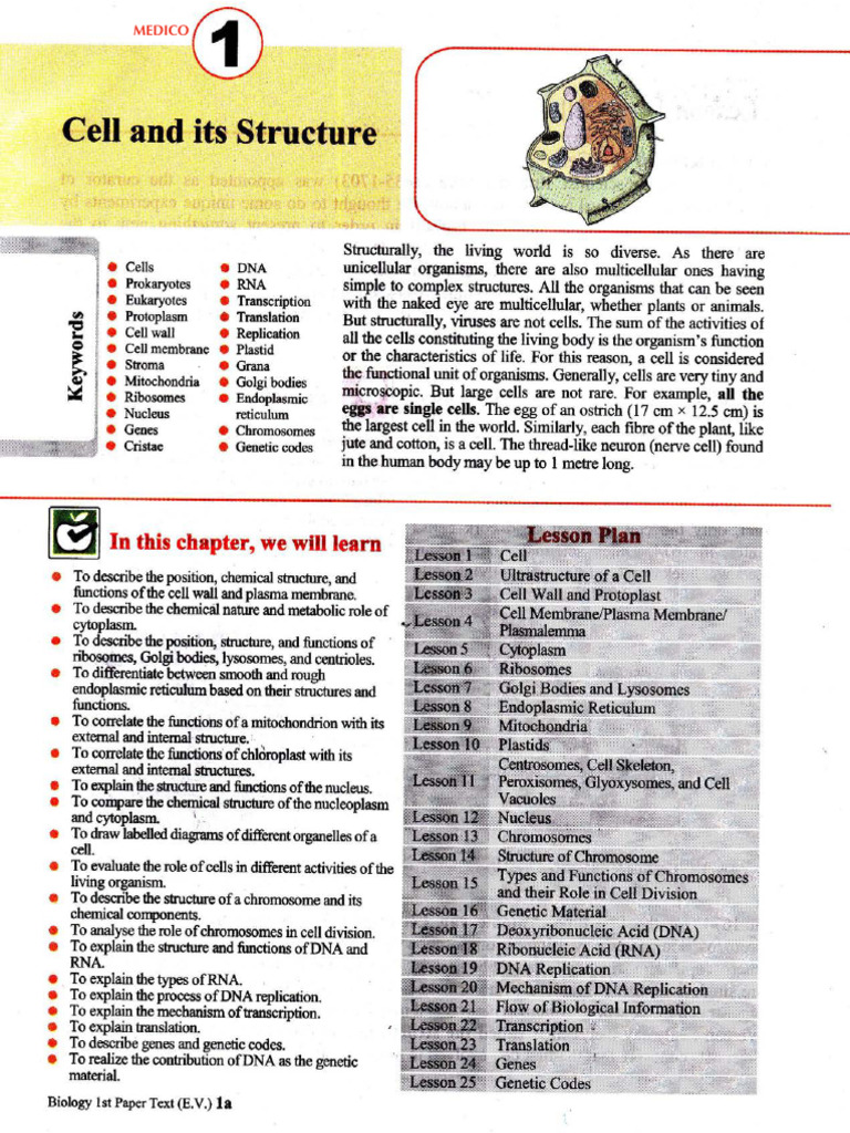 Cell and Its Structure Azibur Sir 6th 2024 | PDF