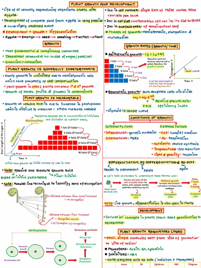 Plant Growth and Development Class Notes Neet Revision Express | PDF