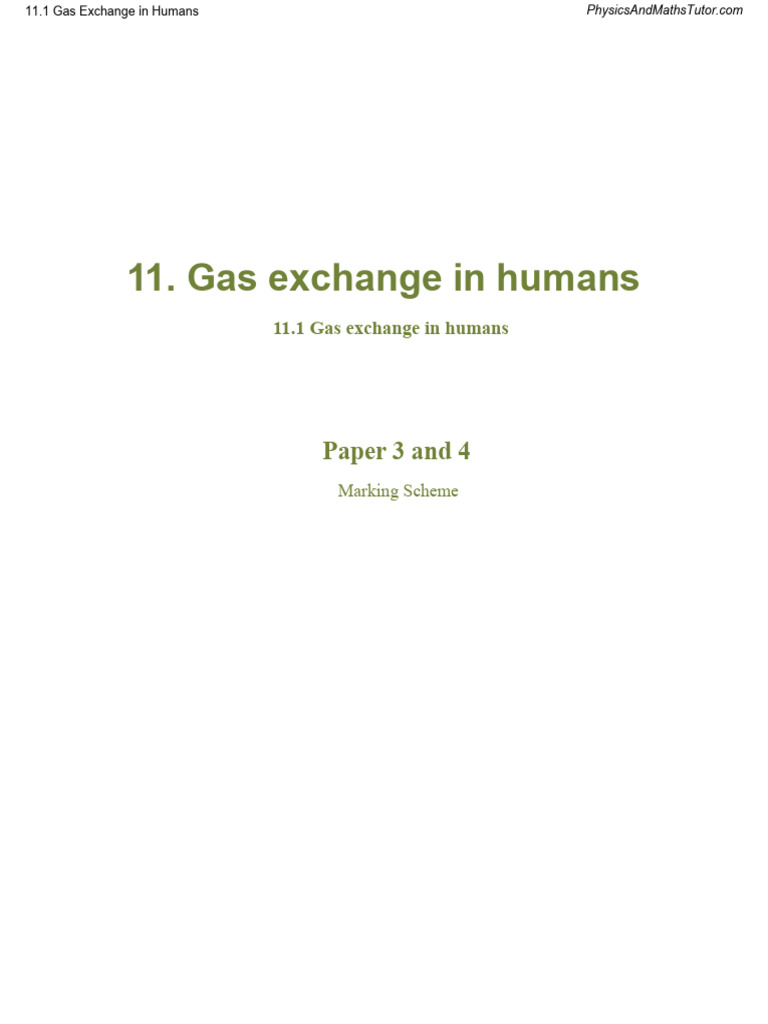 11.1 Gas Exchange in Humans MS | PDF