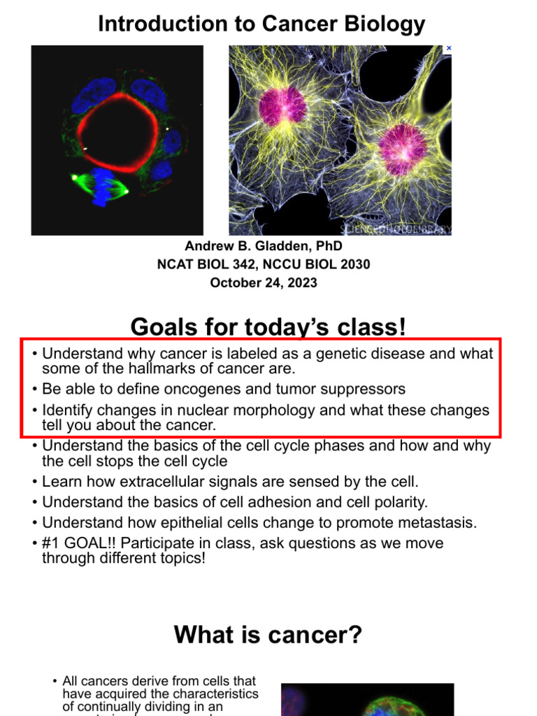 Understanding Cancer Biology Basics | PDF | Cell Cycle | Metastasis