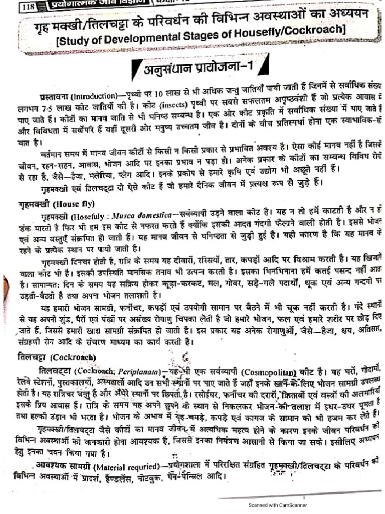 Project Work Bio | PDF