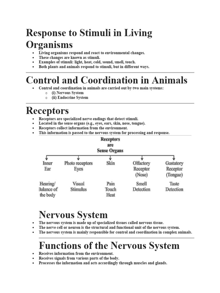 Control and Coordination in Organisms | PDF | Neuron | Stimulus ...