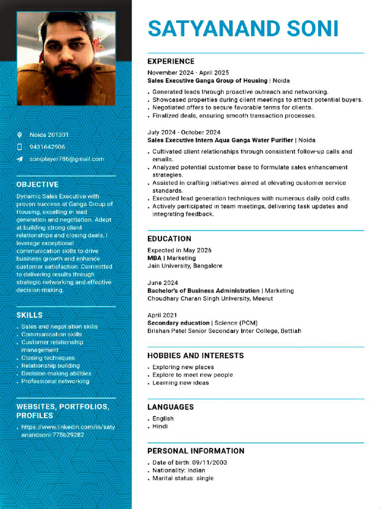 Sales Executive Resume for Noida | PDF | Business Economics | Business
