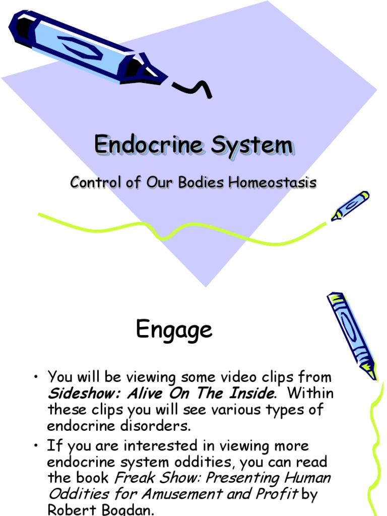 Endocrine System and Homeostasis Explained | PDF | Endocrine System ...