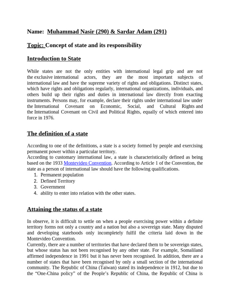 State Responsibilities in International Law | PDF | International Law ...
