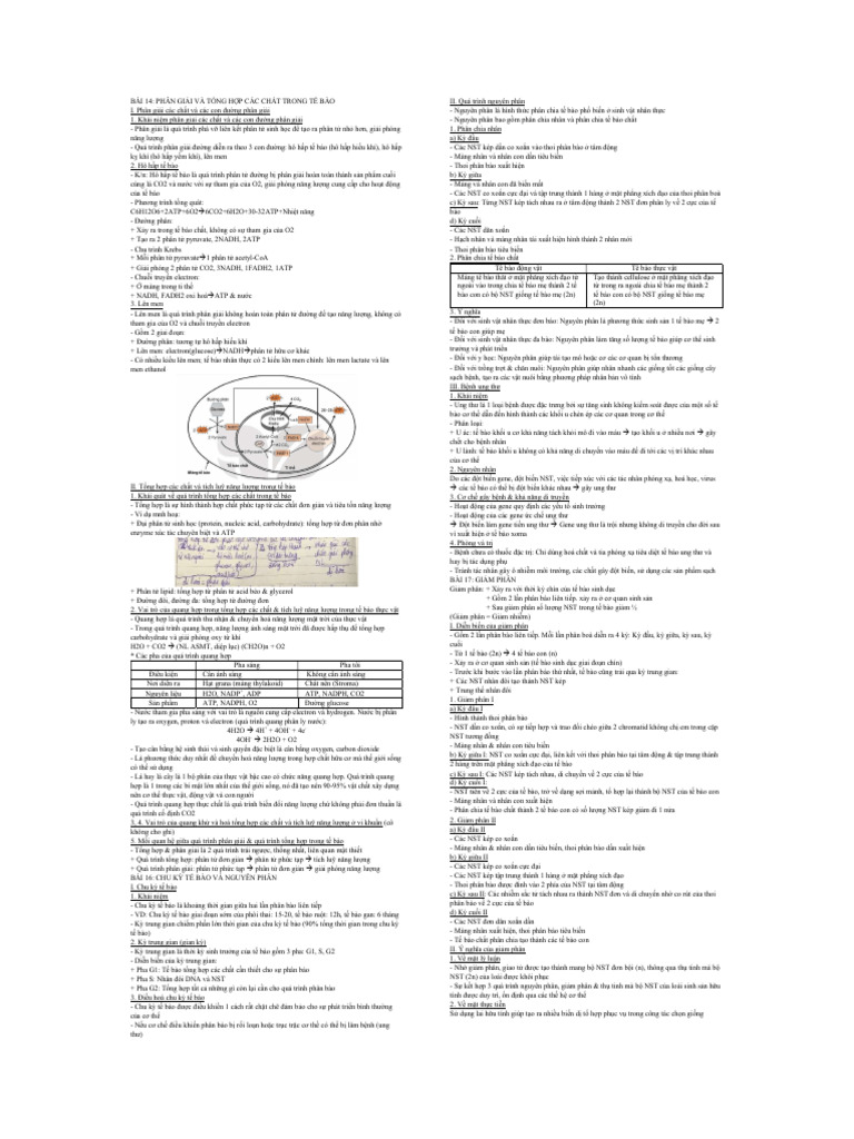 Bay | PDF