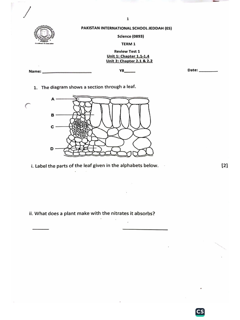 Y8 Science Test 1 and 2 Review Sheet | PDF