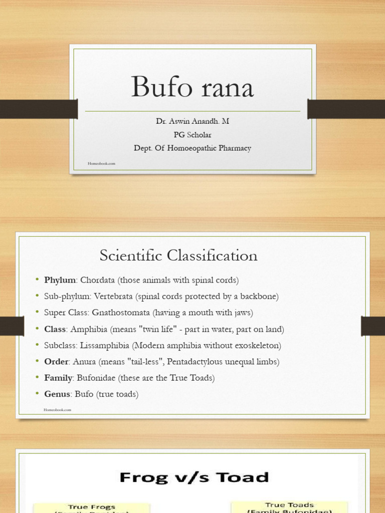 Bufo Rana: Morphology and Uses | PDF