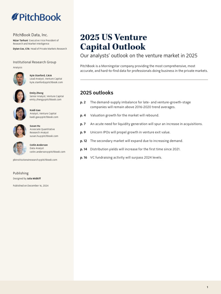 2025 US Venture Capital Forecast | PDF | Corporate Finance | Venture ...