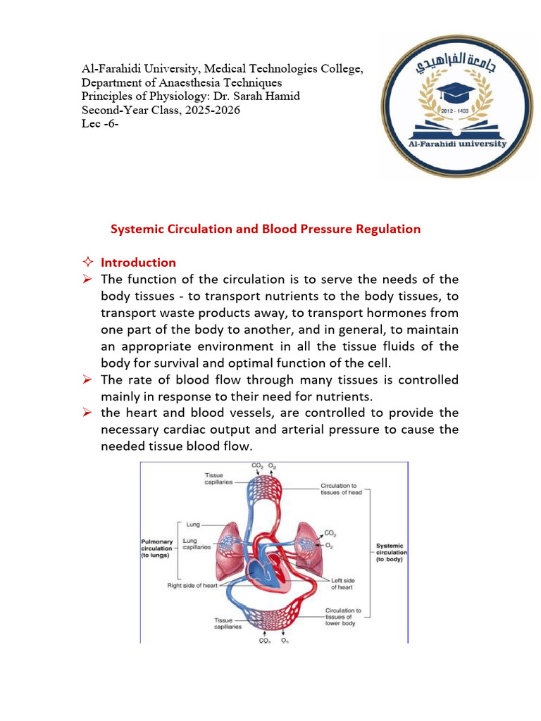 Lec 6 Systemic Circulation | PDF | Circulatory System | Blood Pressure
