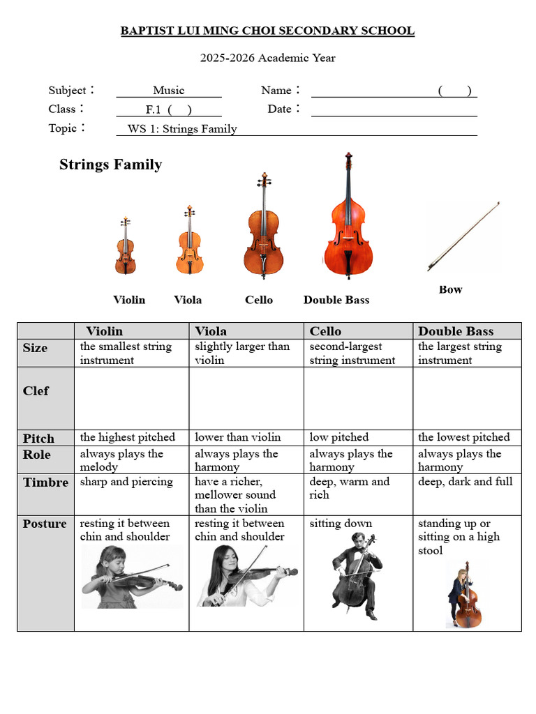 Strings Family Overview for Music Class | PDF